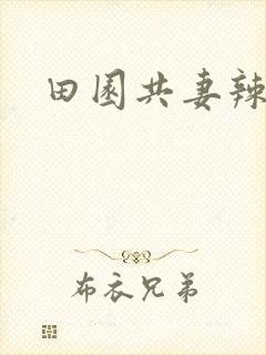 田园共妻辣