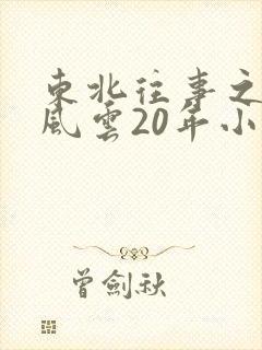 东北往事之黑道风云20年小说