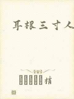耳根三寸人间封面