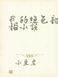 我的绝色韵母郑怡小说
