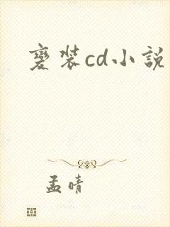 变装cd小说封面