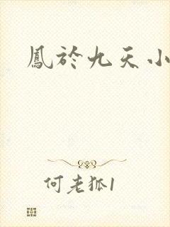 凤于九天小说