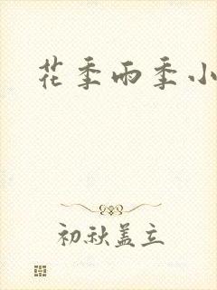 花季雨季小说封面