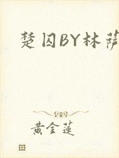 楚囚BY林萨封面