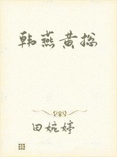 韩燕黄总封面