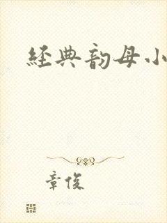 经典韵母小说