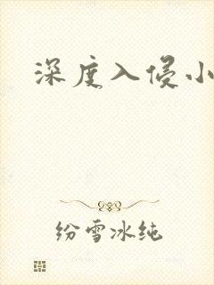 深度入侵小说