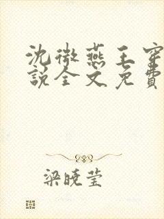 沈微燕王穿越小说全文免费阅读封面