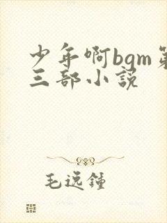 少年啊bgm第三部小说