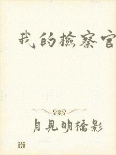 我的检察官先生