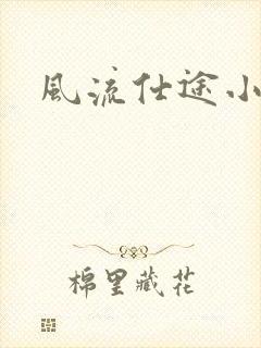 风流仕途小说封面