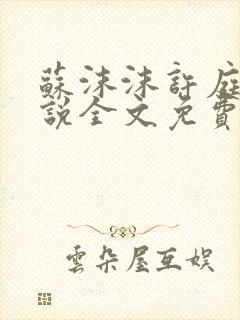 苏沫沫许庭川小说全文免费阅读封面