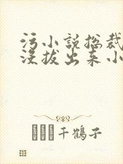 污小说总裁整夜没拔出来小说在线阅读