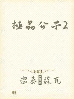 极品公子2