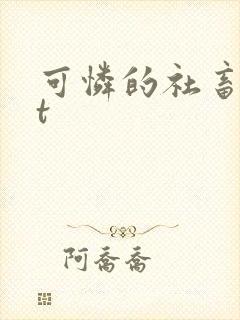 可怜的社畜txt