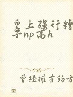 皇上强行糟蹋太子np高h