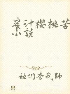 蜜汁樱桃苦咖啡小说