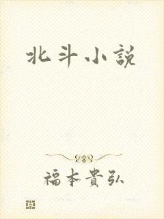 北斗小说
