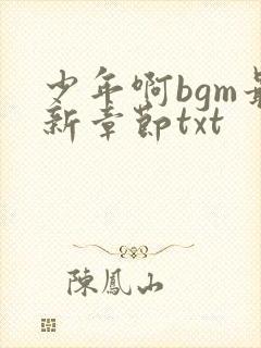 少年啊bgm最新章节txt封面