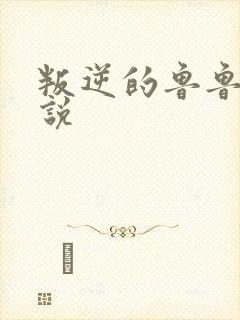叛逆的鲁鲁修小说