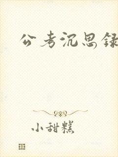 公考沉思录封面