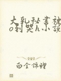 大乳秘书被cao到哭h小说
