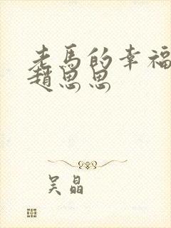 老马的幸福生活赵思思
