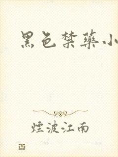黑色禁药小说封面