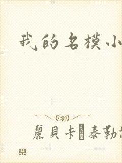 我的名模小娇妻