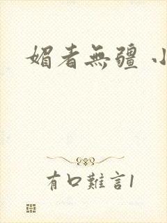 媚者无疆 小说