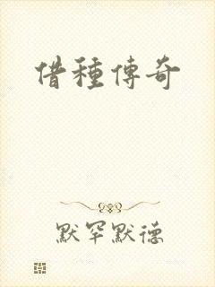 借种传奇封面