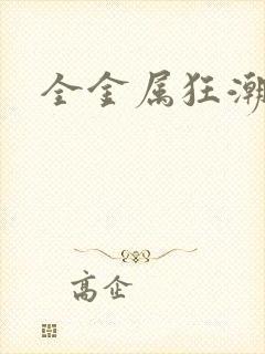 全金属狂潮小说