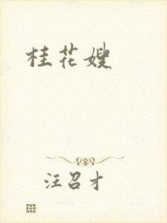 桂花嫂封面