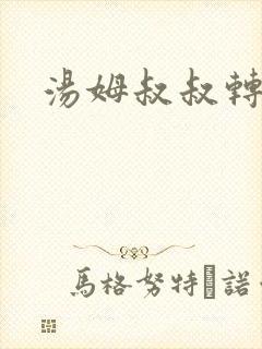 汤姆叔叔转接口
