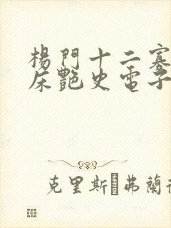 杨门十二寡妇肉床艳史电子书