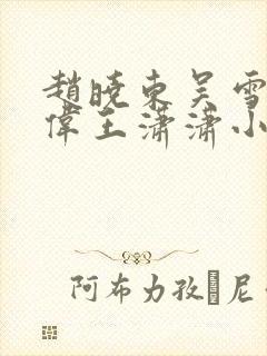 赵晓东吴雪晴郑伟王潇潇小说名字封面