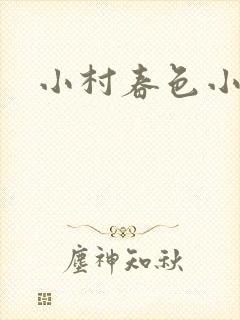 小村春色小说