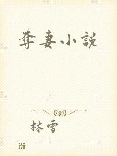 夺妻小说封面