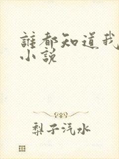 谁都知道我爱你小说