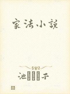 家法小说