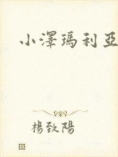 小泽玛利亚作品