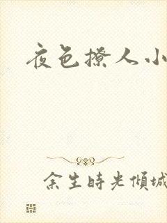 夜色撩人小说