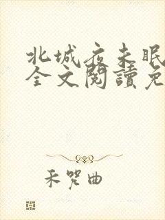 北城夜未眠小说全文阅读免费