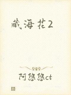 藏海花2
