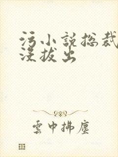 污小说总裁整夜没拔出