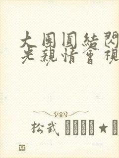 大团圆结闪闪发光亲情会视频