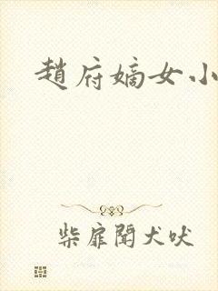 赵府嫡女小说