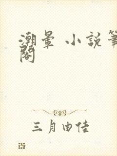 潮晕 小说笔趣阁