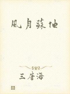 风月苏他