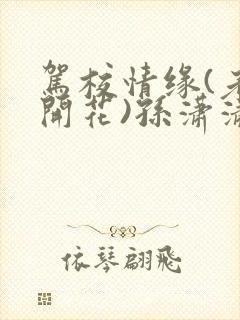 驾校情缘(老树开花)孙潇潇笔趣阁